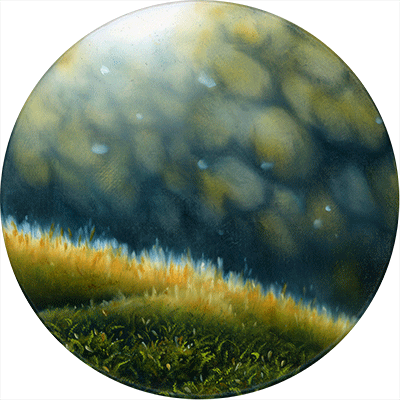 Annette von der Bey, moss on round canvas