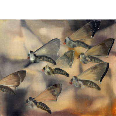 Annette von der Bey, moths flying