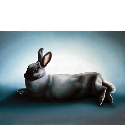 Annette von der Bey, mächtiger blaugrauer Hase liegend