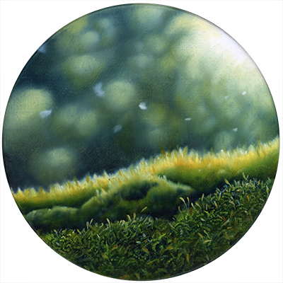 Annette von der Bey, moss on round canvas