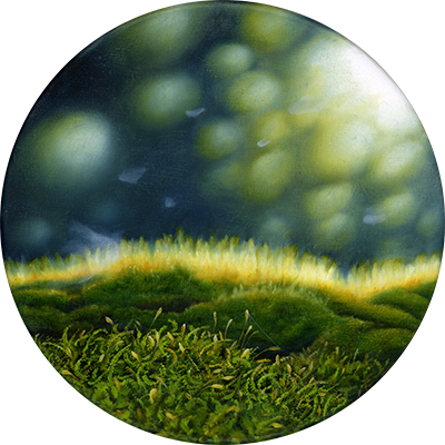 Annette von der Bey, Moos