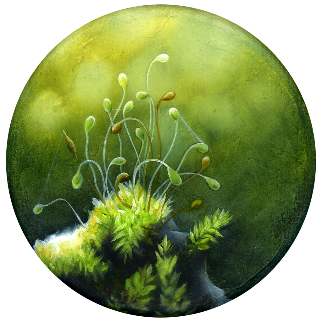 Annette von der Bey, 234, 2025, Ø 10 cm, Öl auf Leinen