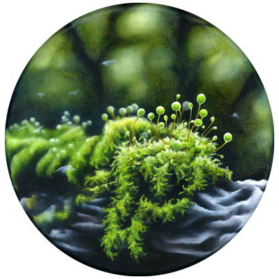 Annette von der Bey, moss