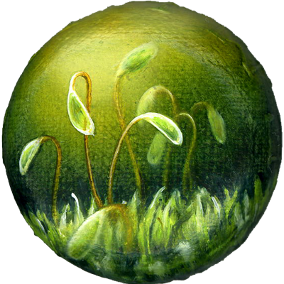 Annette von der Bey, moss