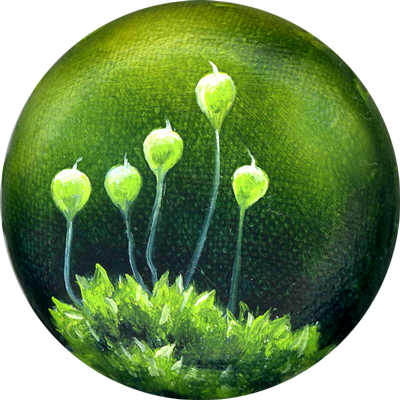 Annette von der Bey, moss