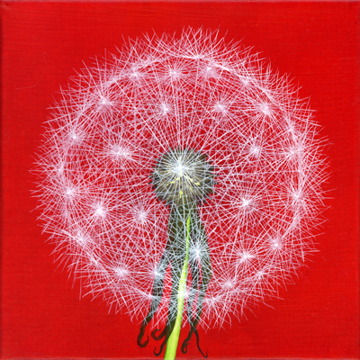 Annette von der Bey, Pusteblume auf Rot