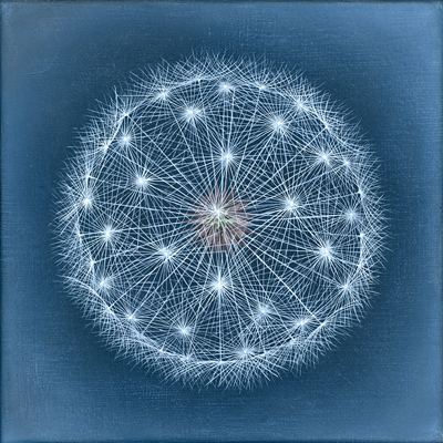 Annette von der Bey, Pusteblume auf Dunkelblau