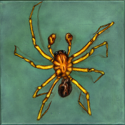 Annette von der Bey, Spinne auf Grün