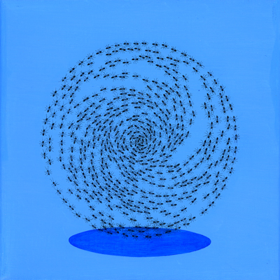 Annette von der Bey, Ameisenspirale