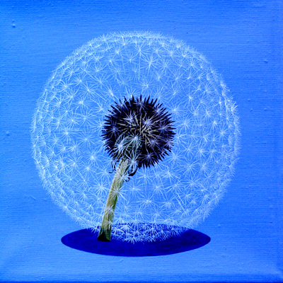 Annette von der Bey, Pusteblume
