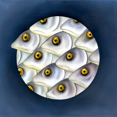 Annette von der Bey, Fische