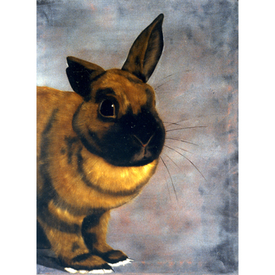 Annette von der Bey, Kaninchen von links