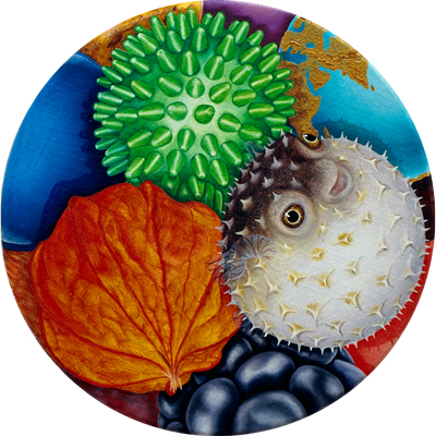 Annette von der Bey, Kugelfisch, Ballonblume, Massageball
