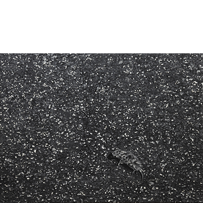 Annette von der Bey, tote Maus auf Asphalt