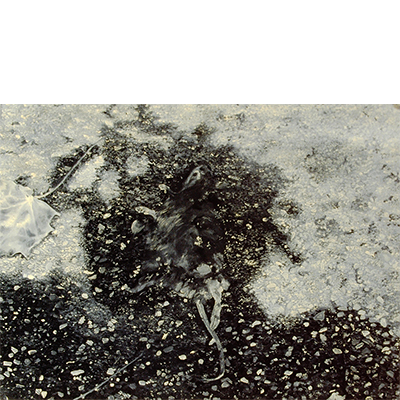 Annette von der Bey, Asphaltratte