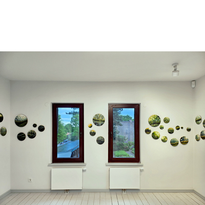 Annette von der Bey, Installation Paradies im Bargheer Museum