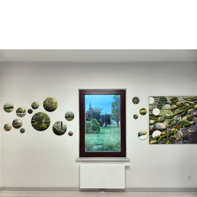 Annette von der Bey, Installation Paradies im Bargheer Museum