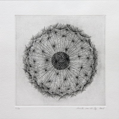 Annette von der Bey, etching dandelion