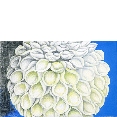 Annette von der Bey, Dahlie auf Blau