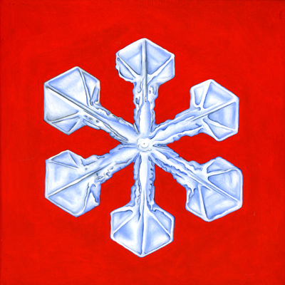 Annette von der Bey, Schneekristall auf Rot